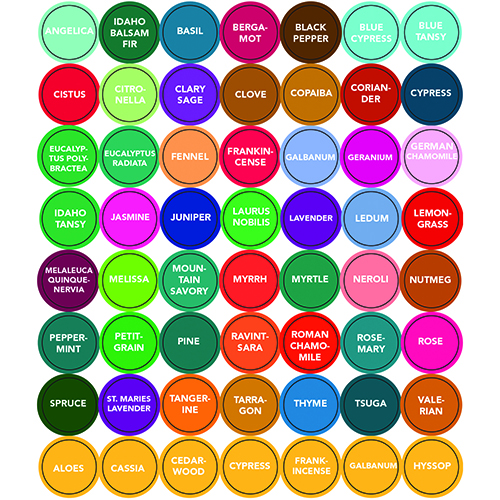 Essential Oil Bottle Cap Labels for Young Living Oil 6 Sheets 624 Labels 