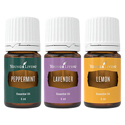 YLベーシックキット シングル | ヤング・リビング精油 | Young Living