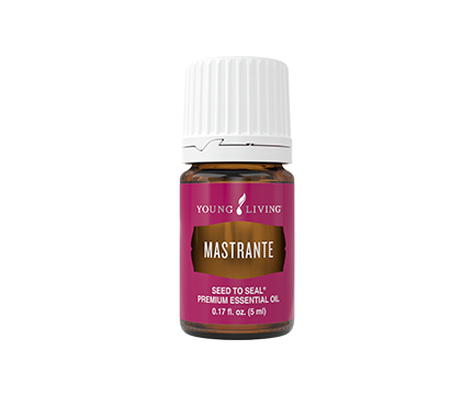 Mastrante Essential Oil