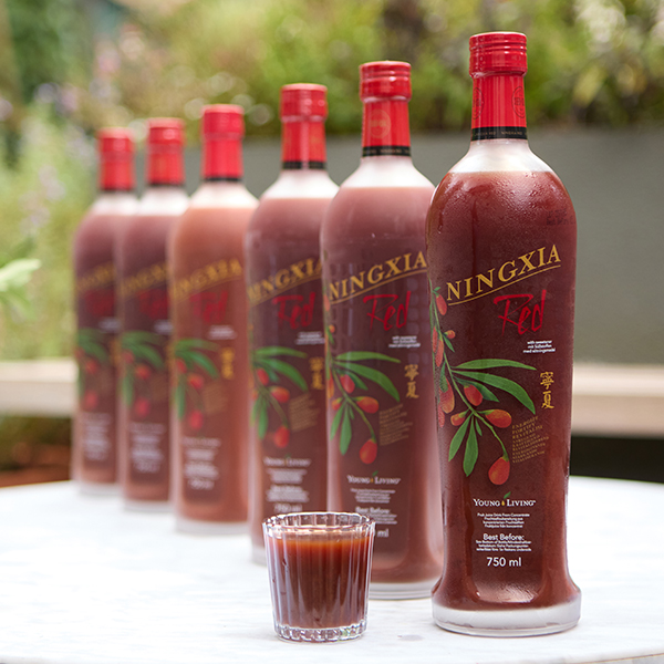 Ningxia red young living discount