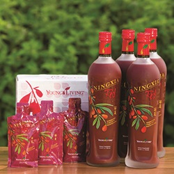 Printable Thieves Ningxia Red Young Living Beauty Recipes