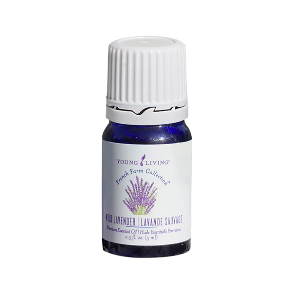 Lavender essential oil 2024 young living