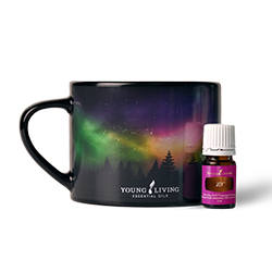 Northern Joy Mug Set