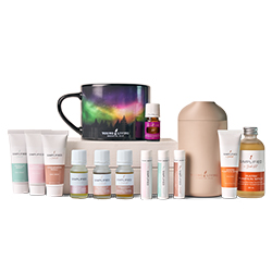 Holiday All-In Bundle