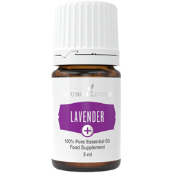 Lavender+ - 5ml